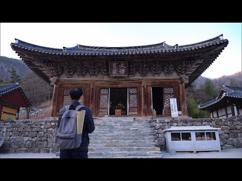 내변산 속으로_SB