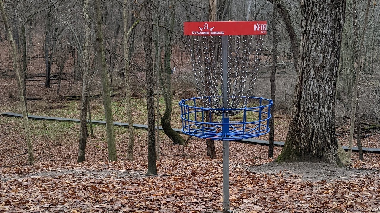 The Sport of Disc Golf #playdiscgolf #funny #discgolf - YouTube