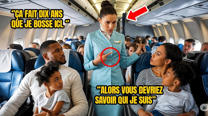 Une hôtesse force une famille noire à se séparer sans savoir qu’ils possèdent la compagnie !