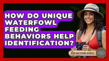 How Do Unique Waterfowl Feeding Behaviors Help Identification? - Bird Watching Diaries