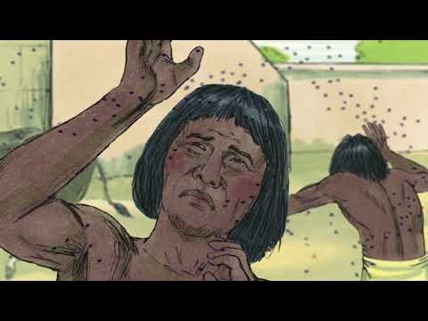 Video Mười Tai Vạ - Câu Chuyện Kinh Thánh - Open Bible... - youtube