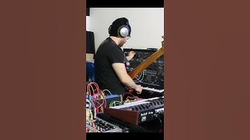#shorts Experimental noise chaos music with Buchla Easel Command, ARP-2600, DFAM, Moog, and bass