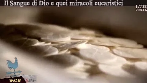 Come si chiama il posto dove si mette l'ostia?