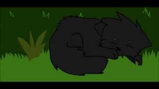Crowfeather AMV ~ Another Love