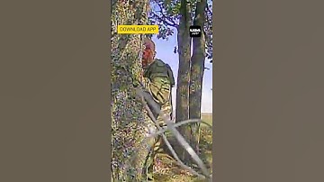 Russian Soldier Tries to Hit Ukrainian Drone From @k2army Unit With a Radio #warinukraine #drone