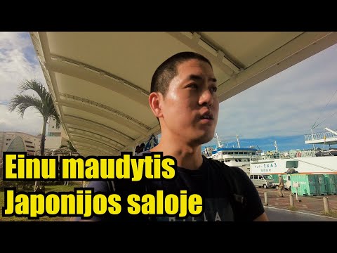 Video: Japonijos salos