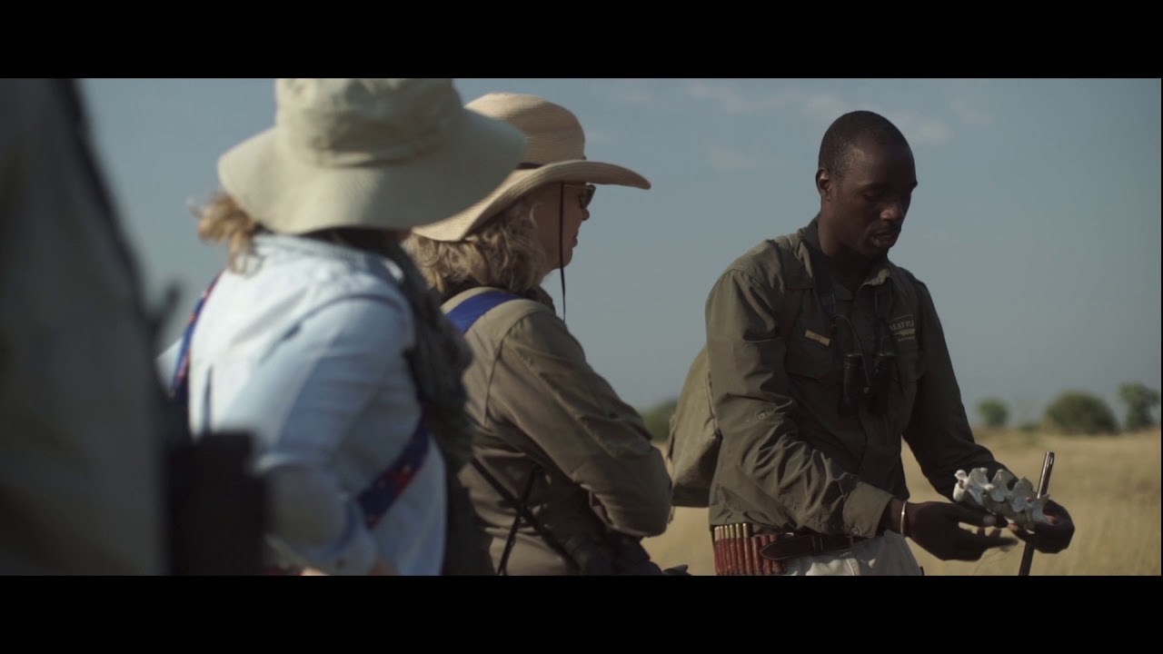 Tailor made luxury safari