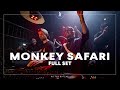 Monkey Safari Full Set At Ritter Butzke April 2024 