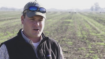 Fortify the Field for High Peanut Yield