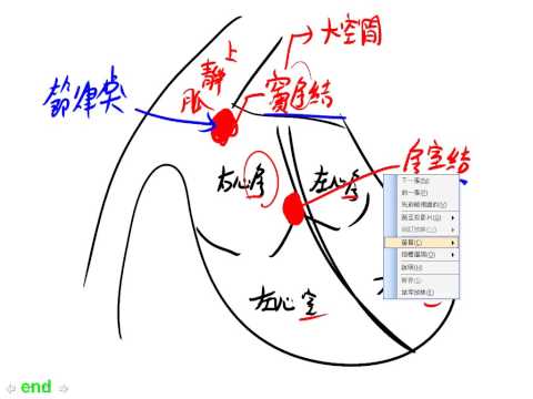 5 2 2心臟節律點與電訊傳遞路徑三敏