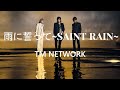 雨に誓って~SAINT RAIN~ / TM NETWORK