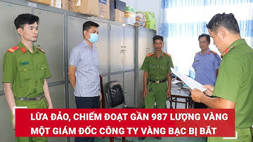 Lừa đảo, chiếm đoạt gần 987 lượng vàng một Giám đốc công ty vàng bạc bị bắt | Báo Lao Động