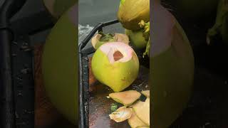 Perfect Coconut Cutting Moment
