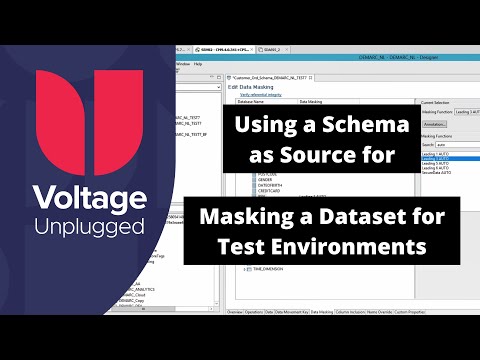 Masking a Dataset for use in Test Environments Using a Schema as Source