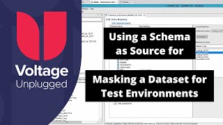 Masking a Dataset for use in Test Environments Using a Schema as Source
