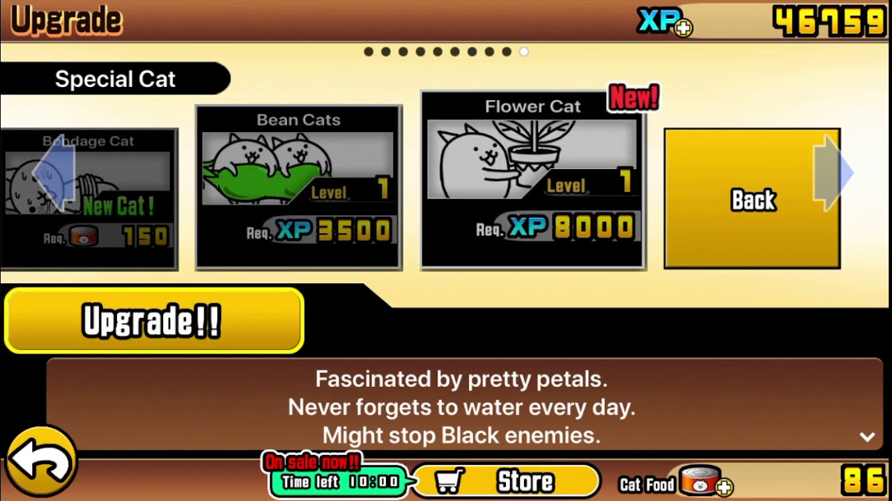 How to Get the Flower Cat! (Battle Cats) YouTube