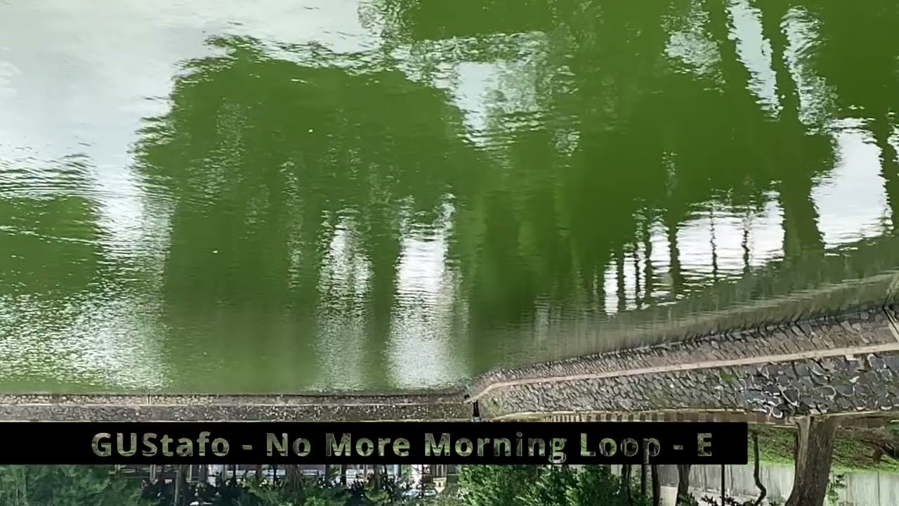 GUStafo   No More Morning Loop   E