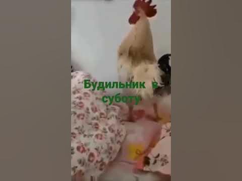 Будільник в суботу - YouTube