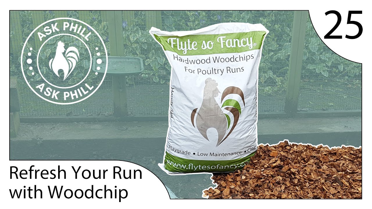 Refresh Your Chicken Runs with Hardwood Woodchip A StepbyStep Guide