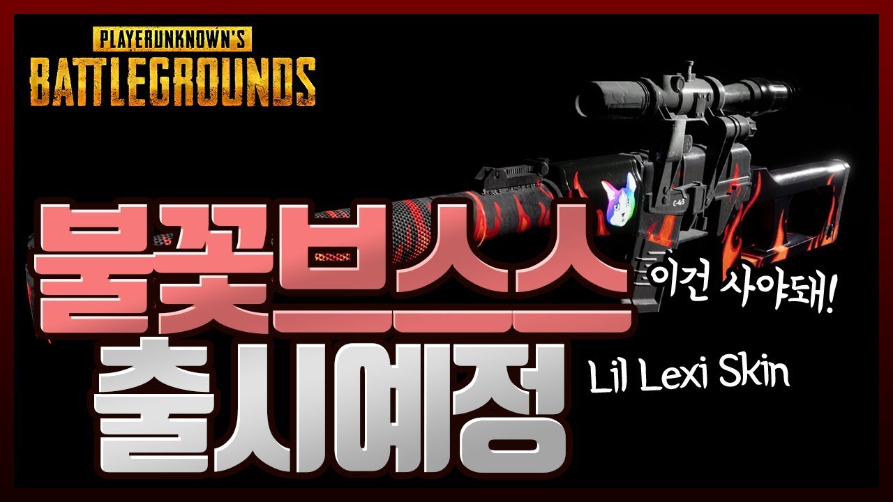 불꽃브스스 출시예정 ! Lil Lexi VSS Skin [배틀그라운드 루오피스] - YouTube