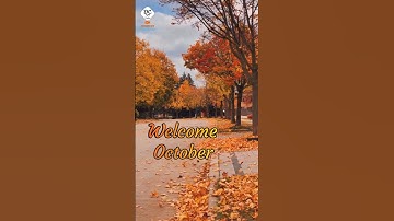 Welcome October #status #season #october #shorts #trending #trend #autumn #nature #viral #video