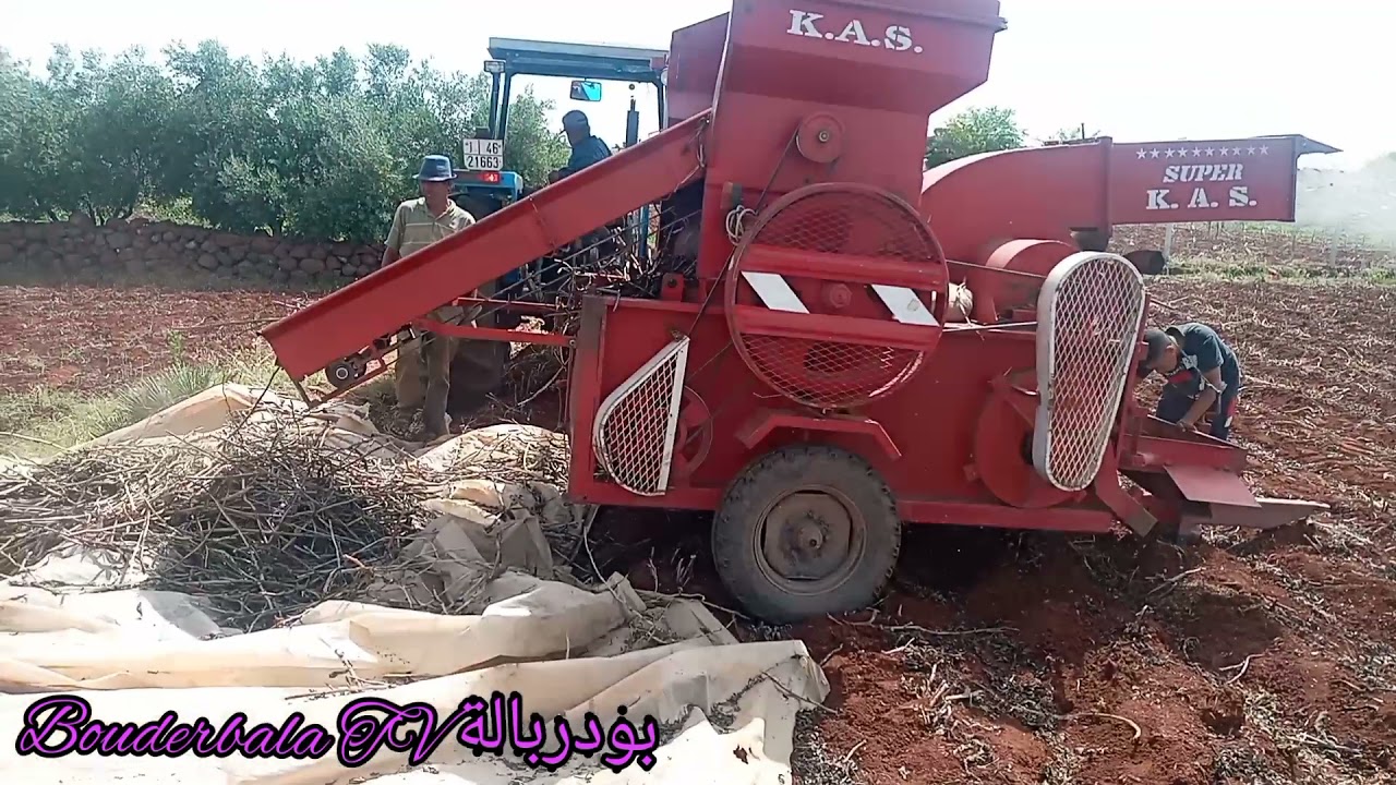 درس الفول بالكوكوط