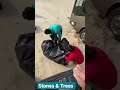 حجرة و شجرة خلف الكواليس رحلة الرايس حجرة و شجرة خلف الكواليس رحلة الرايس