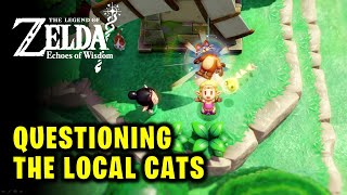 Questioning the Local Cats - Side Quest Guide | Legend of Zelda Echoes of Wisdom