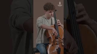 🎻協奏曲における最高傑作の一つ ＃ドボコン 曲を物語風に解説