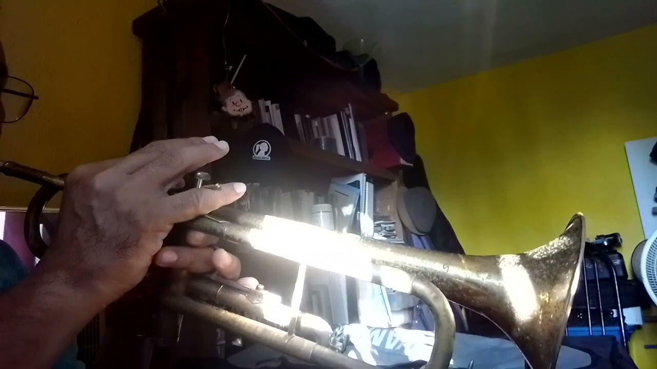 HERMOSO CARIÑO (6to mes de práctica autodidacta) Viernes 16-01-2026