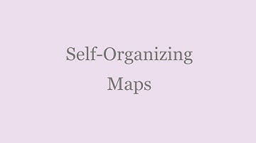 Learning with Self-Organizing Maps