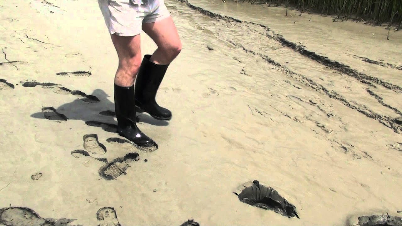 Shiny Nora Anton in shalow estuary mud (Part 1)