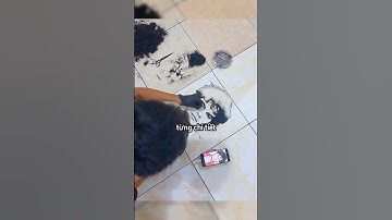 Anh chàng biến tóc thành một bức tranh nghệ thuật #shorts