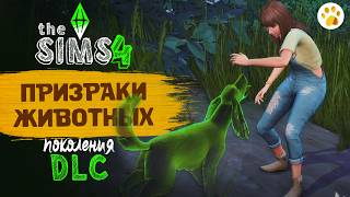 The Sims 4 "Кошки и Собаки" - Призраки животных #6