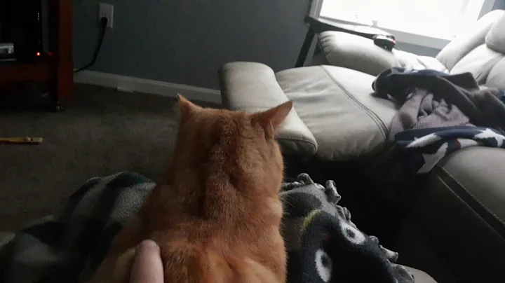 He wont look at me