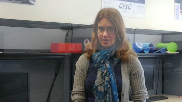 Wind Turbine Collective and Individual Pitch Control