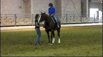 Valley View Ranch - Sallys Dual Pep - warming up at State Fair sorting - 1