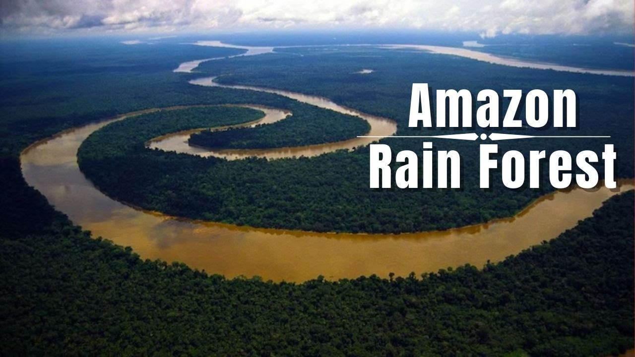 Amazon Rian Amazon Rain Forest || अमेज़न जंगल का रहस्य - YouTube