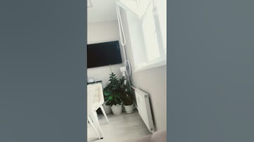 #funny #loop #makeup #satisfyingloop #skincare #endlessloop #perfectloop #edit #cat