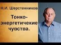 Шерстенников Н.И. Тонкоэнергетические чувства.