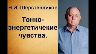 Шерстенников Н.И. Тонкоэнергетические чувства.