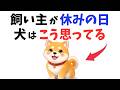 【犬のひとりごと】飼い主が休みの日に犬はこう思っている