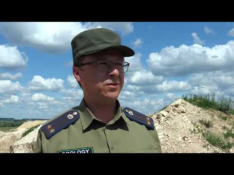 Незаконная добыча ископаемых