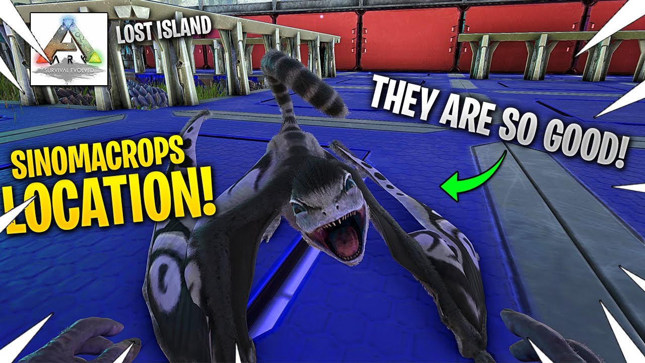 How To Tame A Sinomacrops! The Best Flyer In The Game! ARK Lost Island
