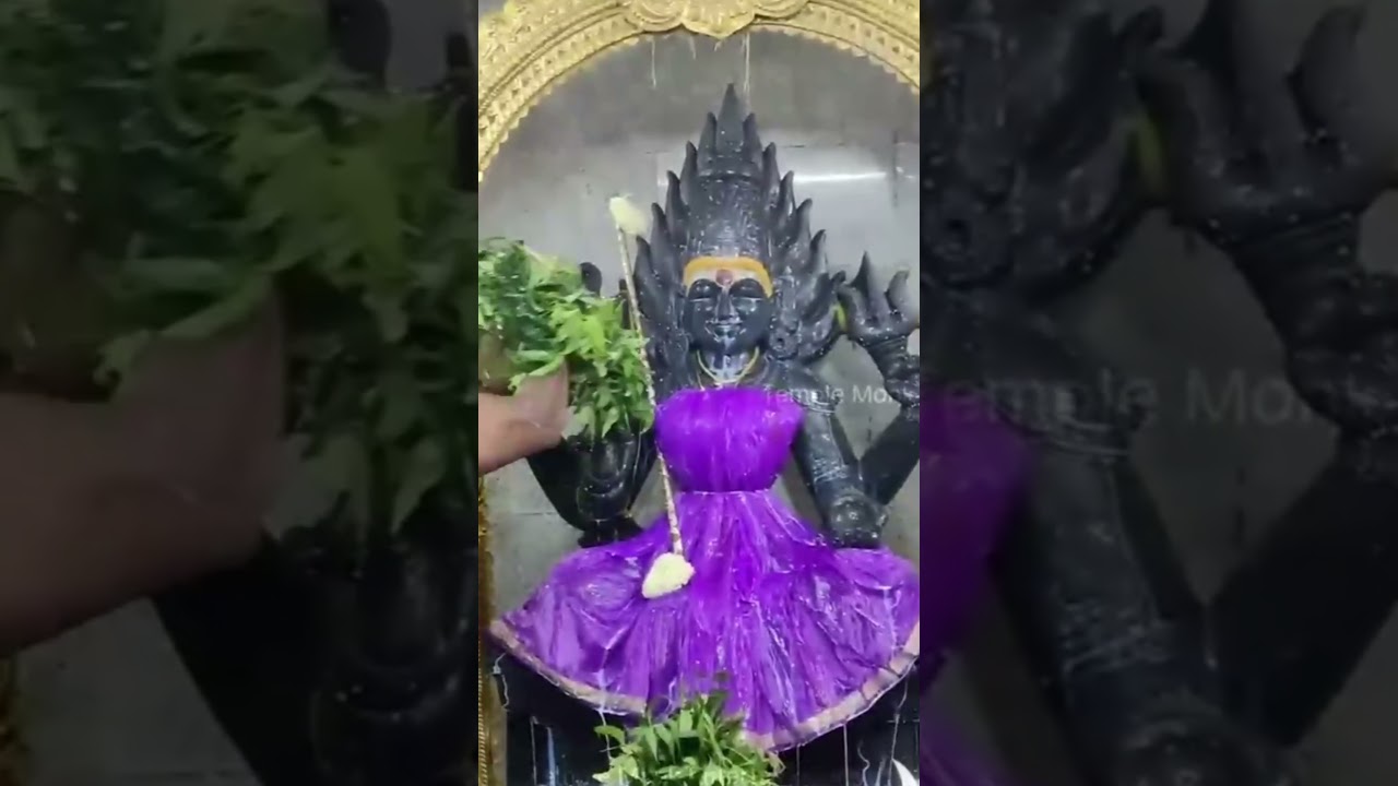 🙏AMMAN FESTIVAL SONG IN TAMIL STATUS VIDEOS🙏✨️🎵