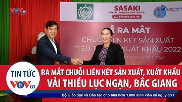 Ra mắt chuỗi liên kết sản xuất, xuất khẩu vải thiều ở Lục Ngạn, Bắc Giang