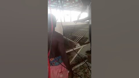 Simple Palm Fruit Thresher Machine #palmoilmill #palmoil #palmoilplantation #palmfruit #palmfruits