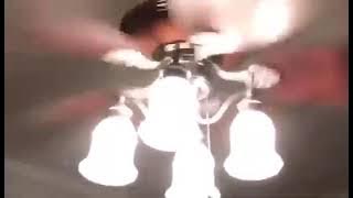 From the Archives: Wobbly 52