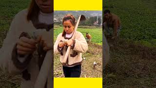 Kwai Funny tiktok: Funny Videos 2025 Chinese Funny Video 🤣 #shorts​  #funny​ #comedy​