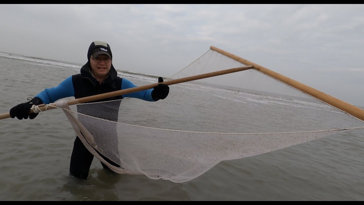 Garnalen vissen in Wijk aan Zee met duwnet